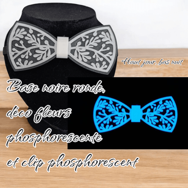 Nœud papillon